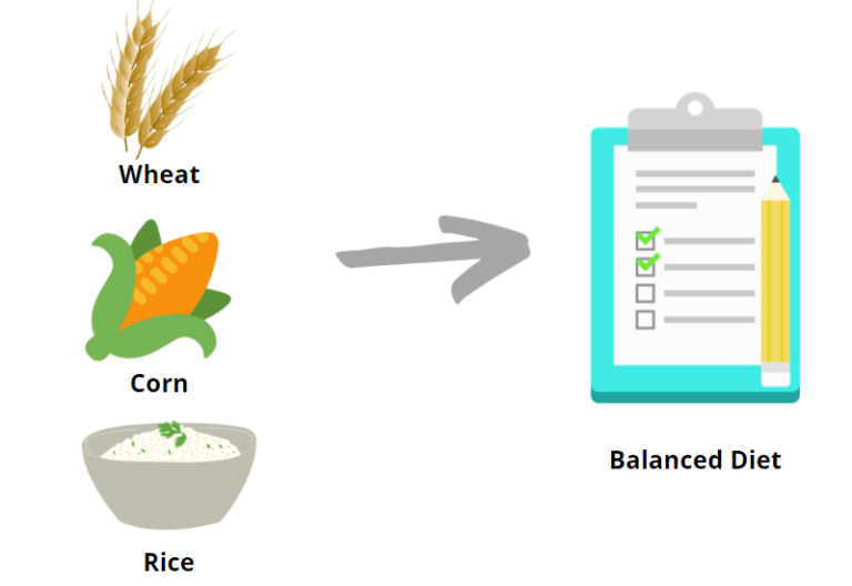 Solving Balanced Diet Problem in Python using PuLP – Machine Learning Geek