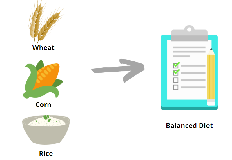 Balanced Diet Problem