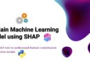 Explain Machine Learning Model using SHAP